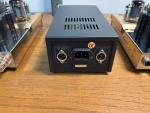 Dared VP-20 Monoblock Tube Amplifier with Tubes