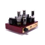 Dennis Had Inspire Fire-Bottle 300B Tube Amplifier