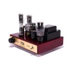 Dennis Had Inspire Fire-Bottle 300B Tube Amplifier
