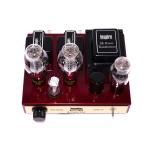 Dennis Had Inspire Fire-Bottle 300B Tube Amplifier