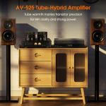 Douk Audio Bluetooth Hybrid Tube Integrated Amplifier
