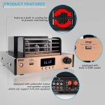 Bluetooth Tube Amplifier 1000W Home Audio Receiver