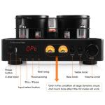 HiFi Hybrid Tube Amplifier with Bluetooth and USB