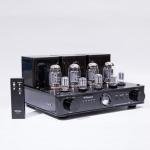 Willsenton R8 KT88/EL34 Tube Integrated Amplifier