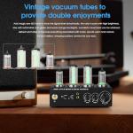 Tube Valve Preamplifier for Turntables