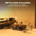 AIYIMA T3 HiFi Tube Phono Preamp for Turntables