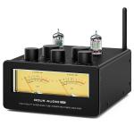 Hi-Fi Hybrid Bluetooth Tube Amplifier 300W w/VU Meter