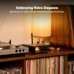 Bluetooth Stereo Tube Amplifier with DAC