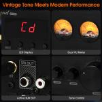 HiFi Hybrid Tube Amplifier with Bluetooth and USB