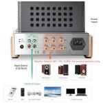 BOYUUSOUND F5 HiFi Class A Tube Amplifier