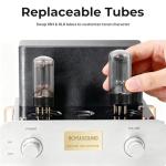 BOYUUSOUND F5 HiFi Class A Tube Amplifier