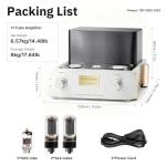 BOYUUSOUND F5 HiFi Class A Tube Amplifier