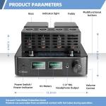Stereo Vacuum Tube Amplifier for Home Audio
