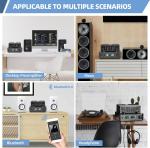 Stereo Vacuum Tube Amplifier for Home Audio