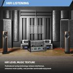 Stereo Vacuum Tube Amplifier for Home Audio