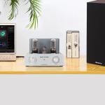 HiFi 6L6 Class A Tube Amplifier for Home Audio