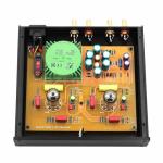FLYINSKY HiFi Tube Buffer Preamplifier for Audio
