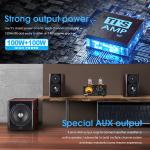 Douk Audio ST-01 PRO Bluetooth Tube Amp 100W