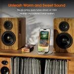 HiFi Pure Class A Mini Tube Preamp