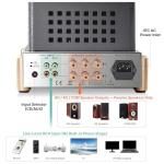 BOYUUSOUND F5 HiFi Class A Tube Amplifier