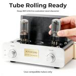 BOYUUSOUND F5 HiFi Class A Tube Amplifier