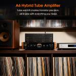 Bluetooth Hybrid Tube Amplifier with USB Player