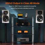 Bluetooth Hybrid Tube Amplifier with USB Player