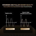 Pongnas HiFi Vacuum Tube Preamplifier with EQ Settings