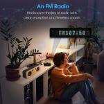 HiFi Vacuum Tube Preamp with Headphone Amp and FM Radio