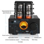 Bluetooth Vacuum Tube Amplifier with USB Player