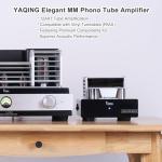 YAQIN MS-23B Tube Phono Amplifier for Vinyl