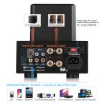 Bluetooth Vacuum Tube Amplifier with USB Player