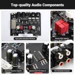 AIYIMA T20 Balanced Tube Preamp with Swappable Op-Amps