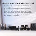 Juson Audio JTA100 200W Vacuum Tube Amplifier