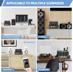 Stereo Vacuum Tube Class A/B Integrated Amplifier