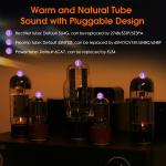 Single-Ended Class A Tube Amplifier Stereo Amp