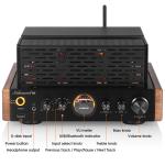 Bluetooth Hybrid Tube Integrated Audio Amplifier