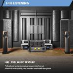 Stereo Vacuum Tube Class A/B Integrated Amplifier