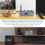 Douk Audio HiFi Tube Bluetooth Preamp and Headphone Amp