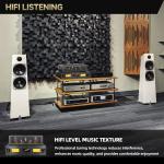 CrBoke CR888 Class A KT88 Tube Amplifier