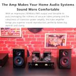 Juson Audio JTA100 200W Vacuum Tube Amplifier