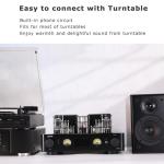 Juson Audio JTA100 200W Vacuum Tube Amplifier