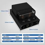 INFI Audio Hybrid Class AB Tube Amplifier with Bluetooth