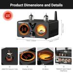 AIYIMA T9 PRO 200W Bluetooth Tube Amplifier