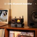 AIYIMA T9 PRO 200W Bluetooth Tube Amplifier