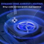 10-Inch 1000W Slim Under Seat Subwoofer with Amplifier