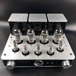 Willsenton R8 Tube Amplifier with Headphone Jack