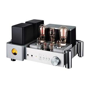 YAQIN MS 500B Class A Vacuum Tube Amplifier