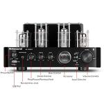 Nobsound MS-10D MKIII Hybrid Tube Amplifier