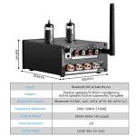 AIYIMA T5 320W Tube Phono Amplifier with Bluetooth